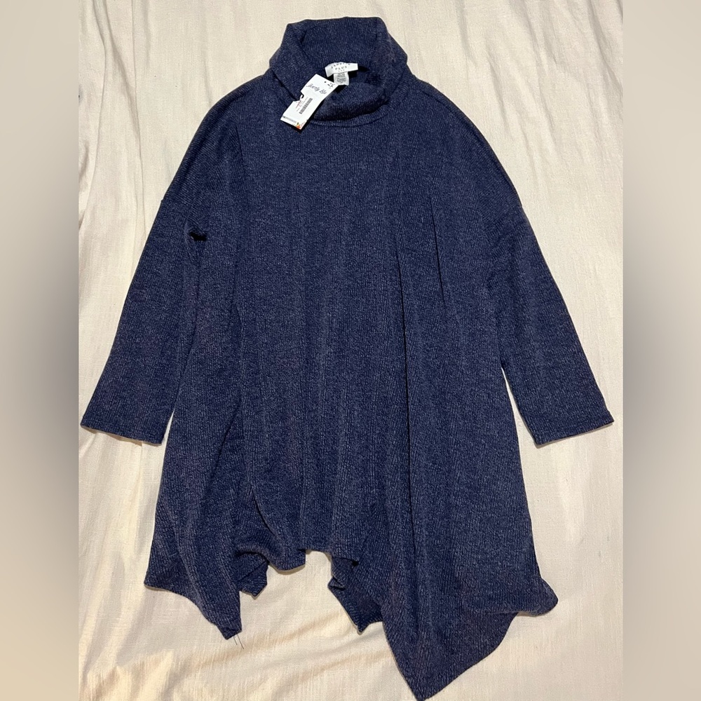 Janette Plus sweater 2x